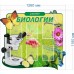 Стенд "Уголок биологии" 