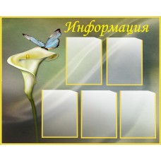 «Информация»