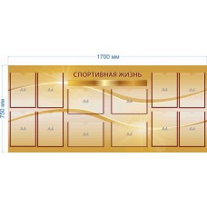 Спортивная жизнь