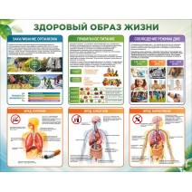 Стенд Здоровый образ жизни, 1000х800мм
